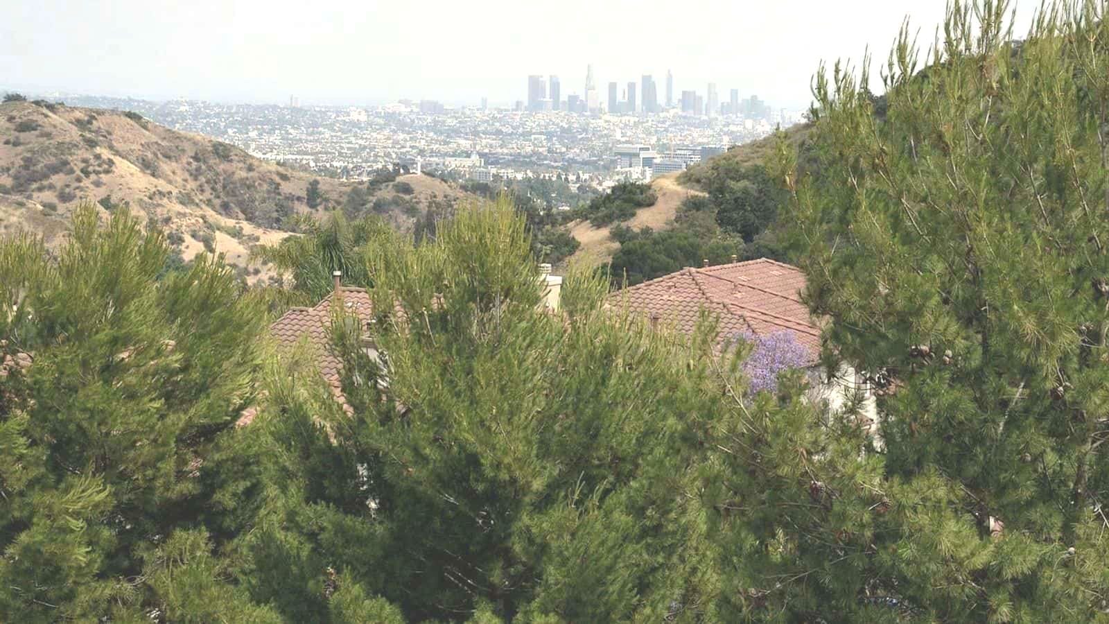 Los Angeles